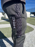 HydraSkins Joggers- Triple H