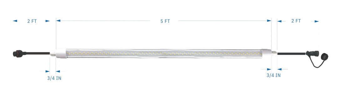 Hydra Lights – Hydra Fit